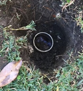 Blocked drain in Avalon                                   